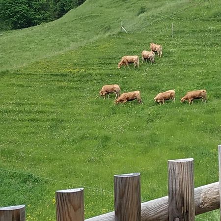 Albergo Diffuso Sauris In Sauris Di Sotto 外观 照片